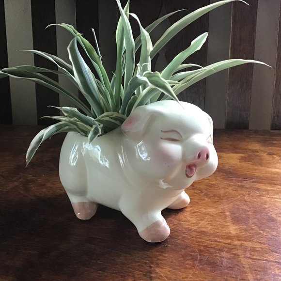 Vintage Ceramic Pig Planter - Plant  Pot - Picture 1 of 5